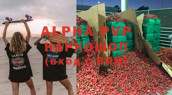 индика Арсеньев