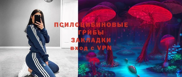 индика Арсеньев
