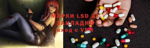 индика Арсеньев