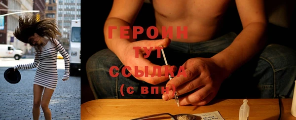 индика Арсеньев