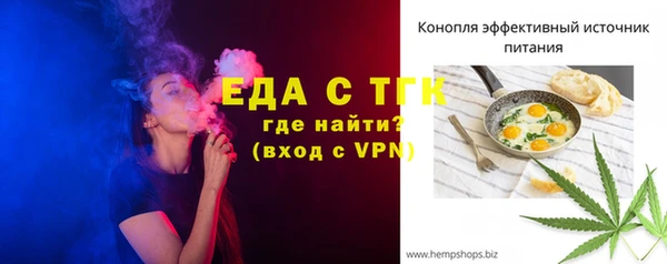индика Арсеньев
