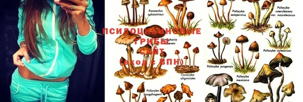каннабис Армянск