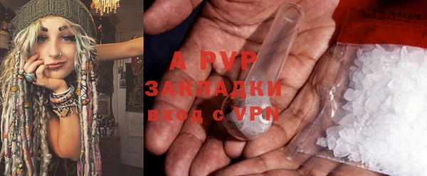 индика Арсеньев
